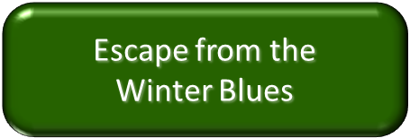 Click Here to Escape the Winter Blues